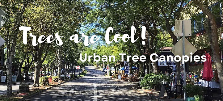 Trees are Cool! Urban Tree Canopies