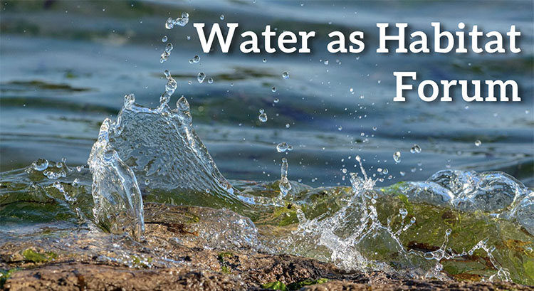 Water as Habitat Forum title graphic